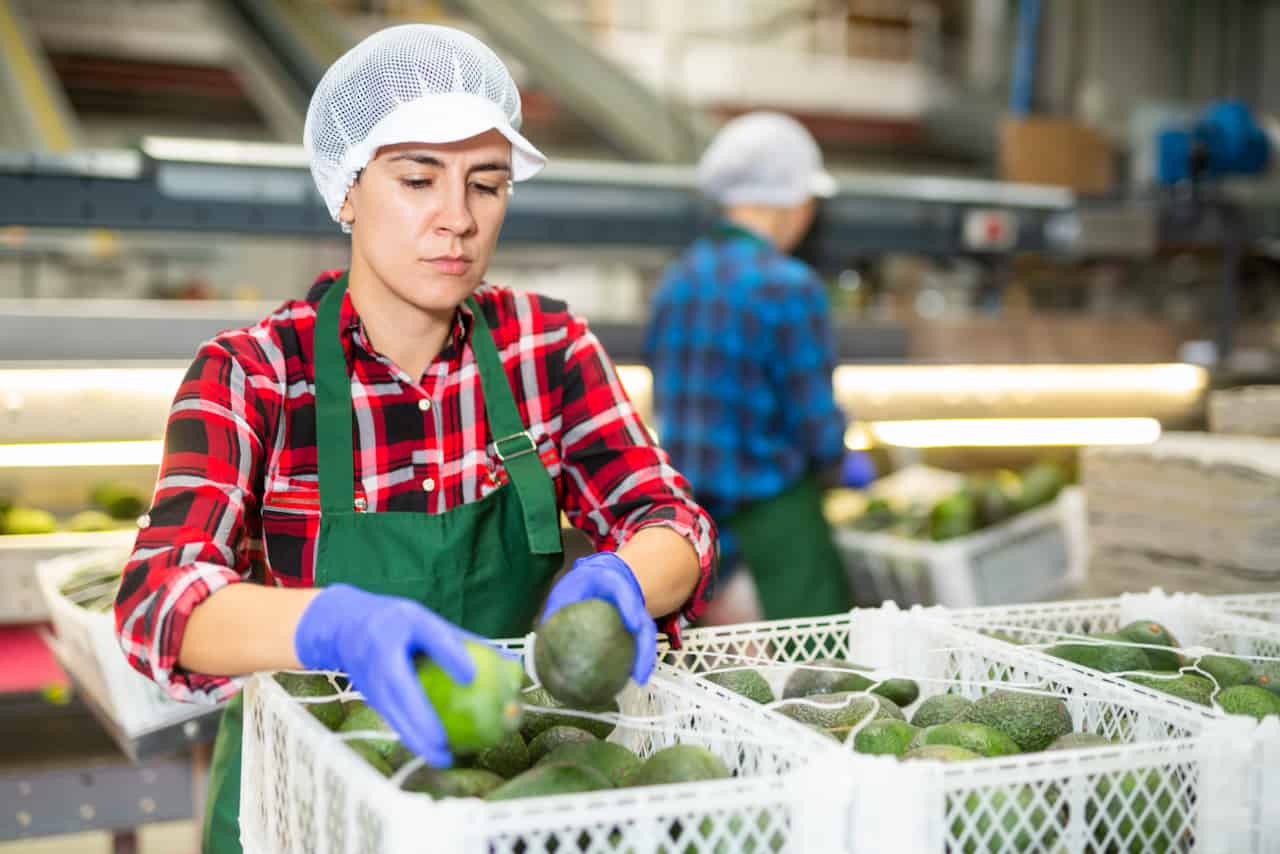 Mayoristas de Frutas y Verduras en Monterrey
