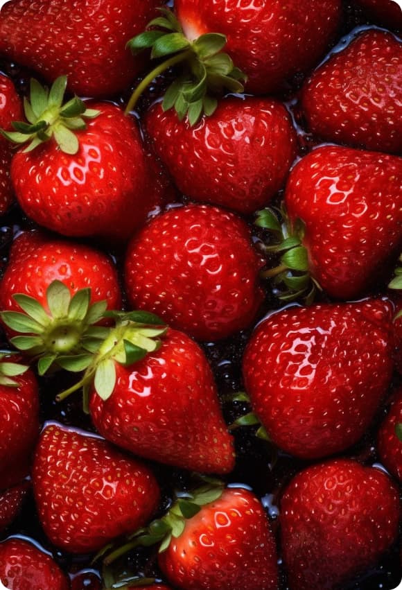 Mayoristas de Frutas y Verduras en Monterrey