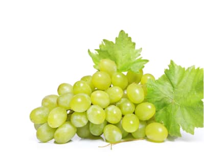 Uvas Blancas Mayoristas: Dulzura y Frescura para tus Clientes