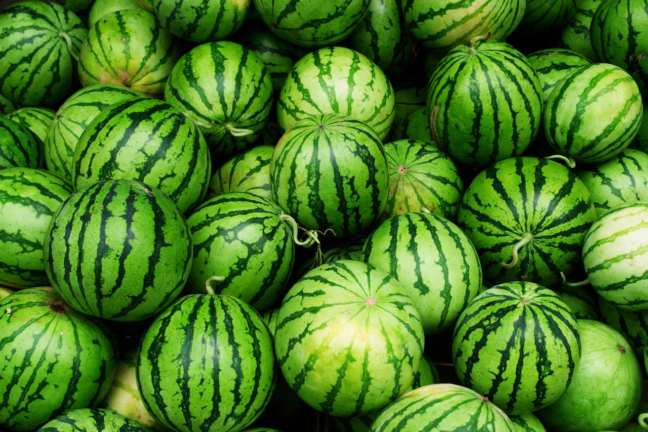 Mayoristas de Frutas y Verduras en Monterrey