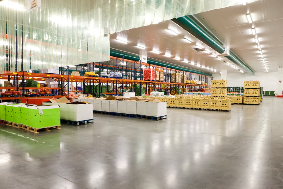 Mayoristas de Frutas y Verduras en Monterrey
