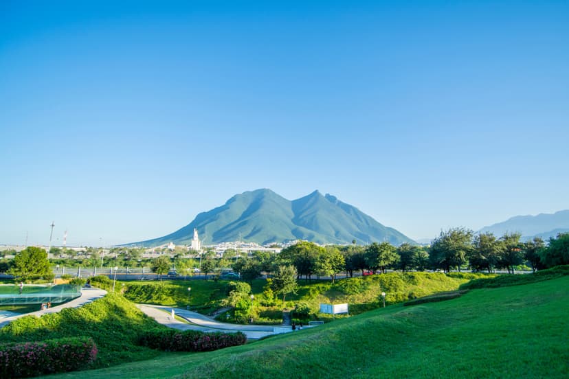 Mayoristas de Frutas y Verduras en Monterrey