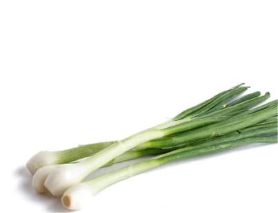 Cebollita Cambray al Mayor: Dulzura y Textura para tus Platos