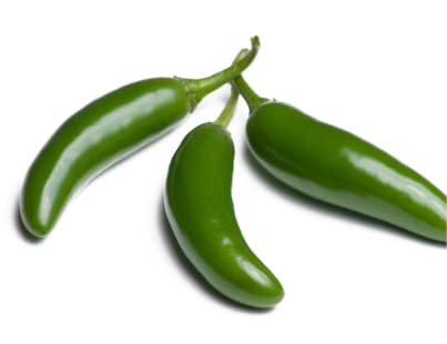 Chile Cerrano Mayorista: Frescura y Picor en Cada Chile