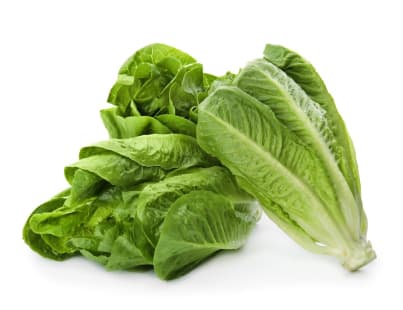 Lechuga Romana Mayorista: Versatilidad y Sabor Únicos